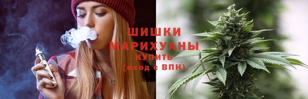 шишки Кинешма