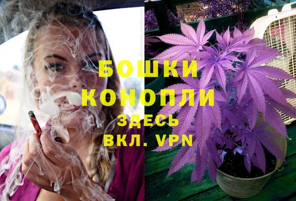 шишки Кинешма