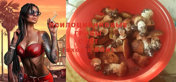 шишки Кинешма